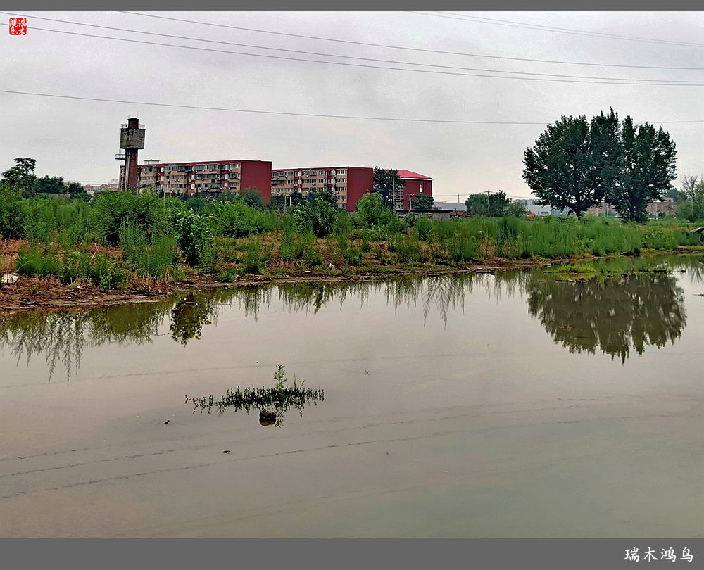 【沙河轶事】貌似沙河   在水一方