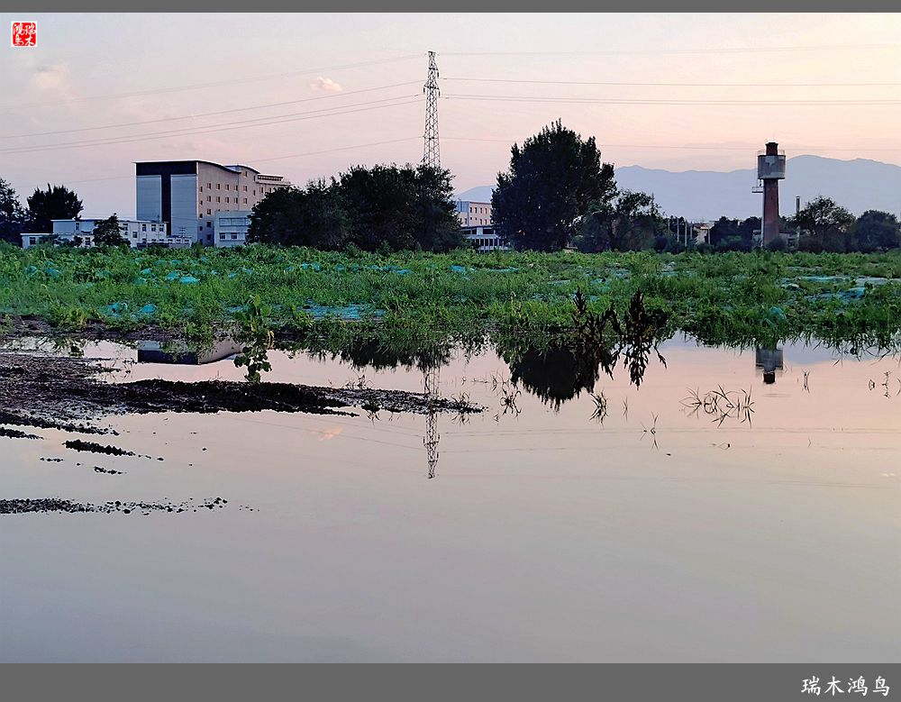 【沙河轶事】貌似沙河   在水一方