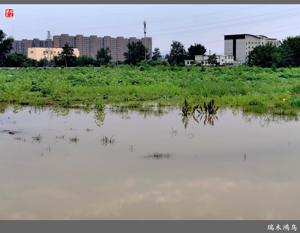 【沙河轶事】貌似沙河   在水一方