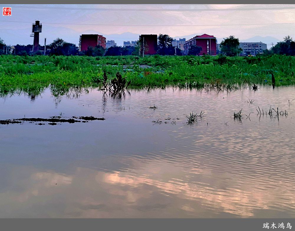 【沙河轶事】貌似沙河   在水一方