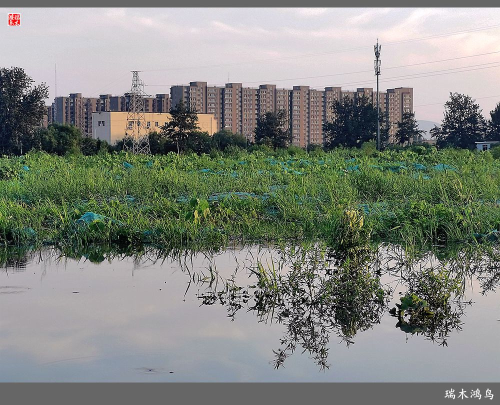 【沙河轶事】貌似沙河   在水一方