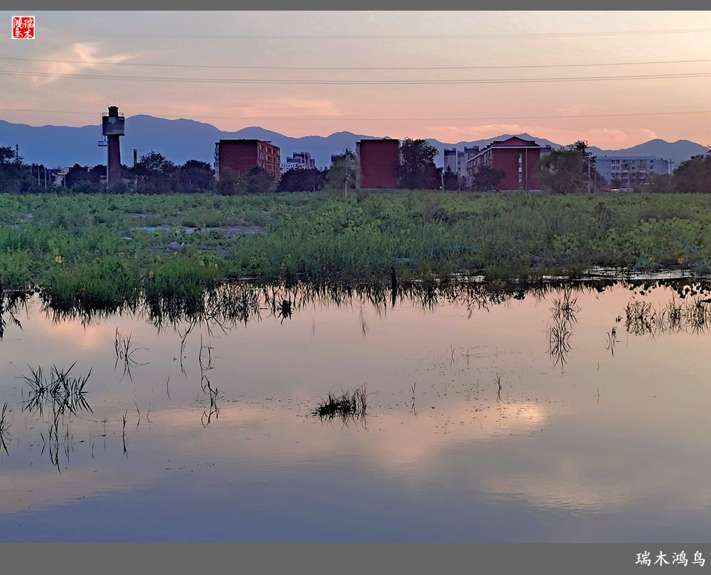【沙河轶事】貌似沙河   在水一方