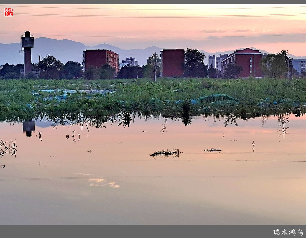 【沙河轶事】貌似沙河   在水一方