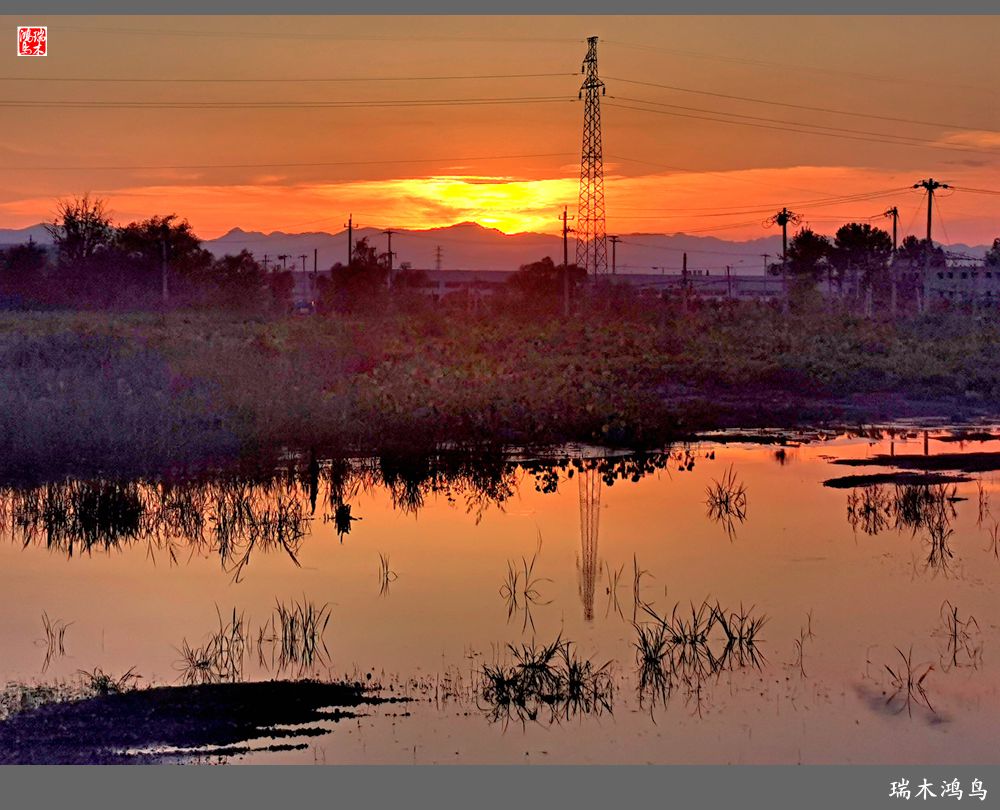 【沙河轶事】貌似沙河   在水一方