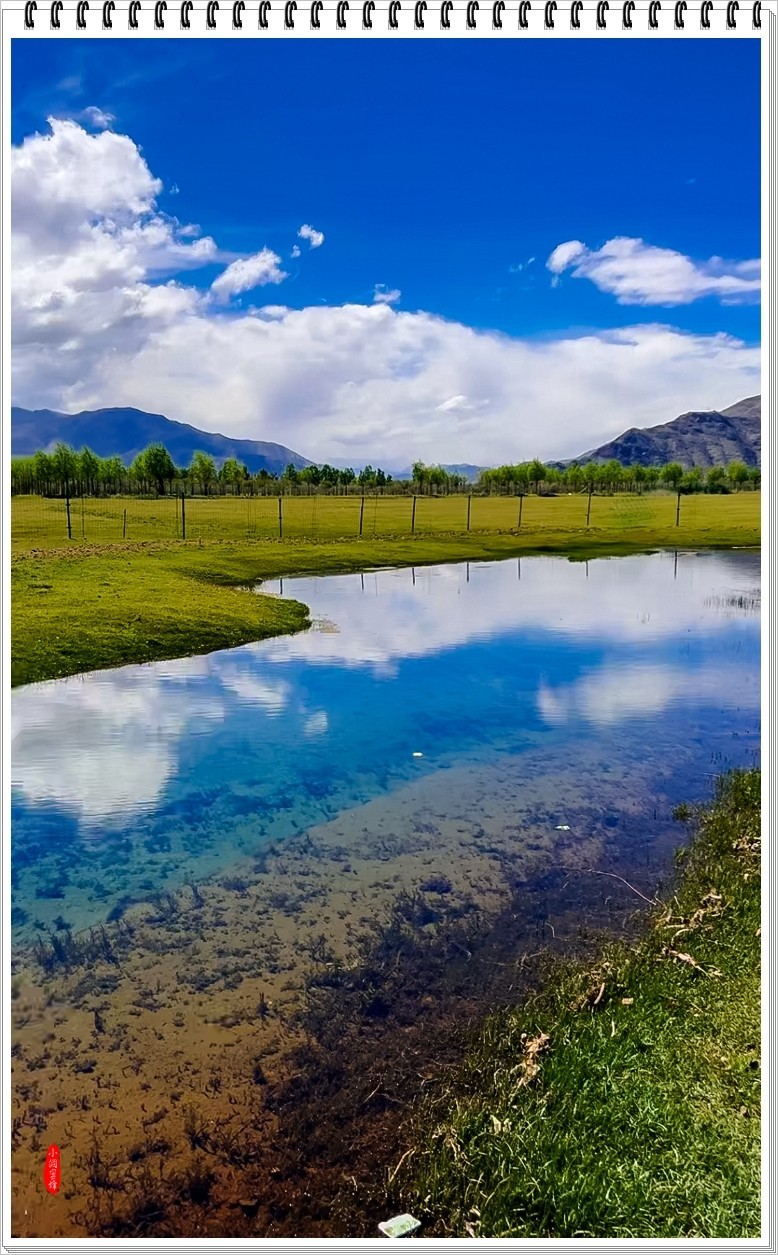 2024年-伊利风光纪实抓拍-0468