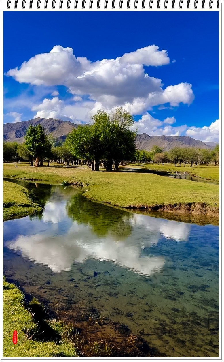 2024年-伊利风光纪实抓拍-0468