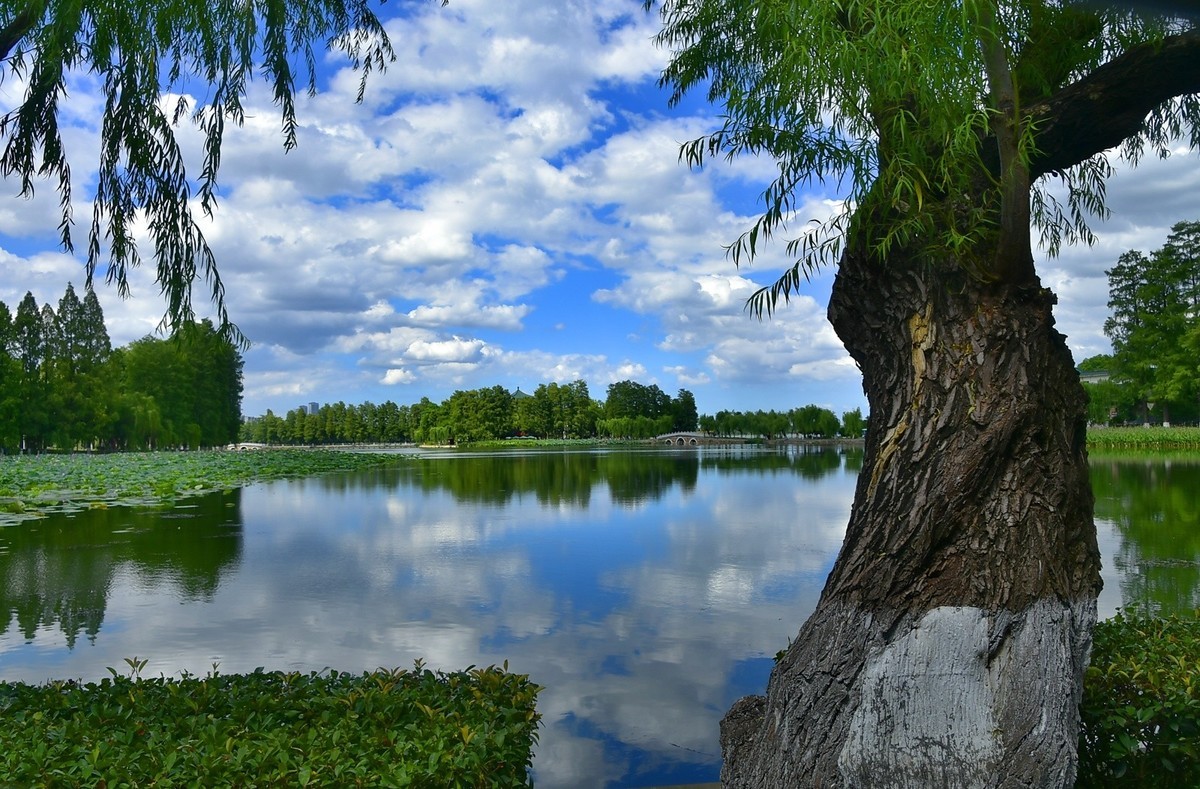 东湖风光   云卷云舒