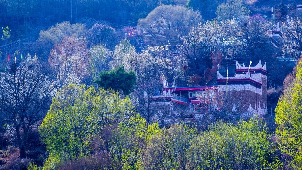 丹 巴 甲 居 嘉 绒 藏 寨 （ 七 ）