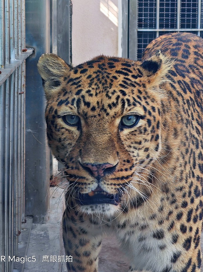 重阳节一贴《溜圈随拍抓拍风景，花草和妹子》祝大家节日快乐！