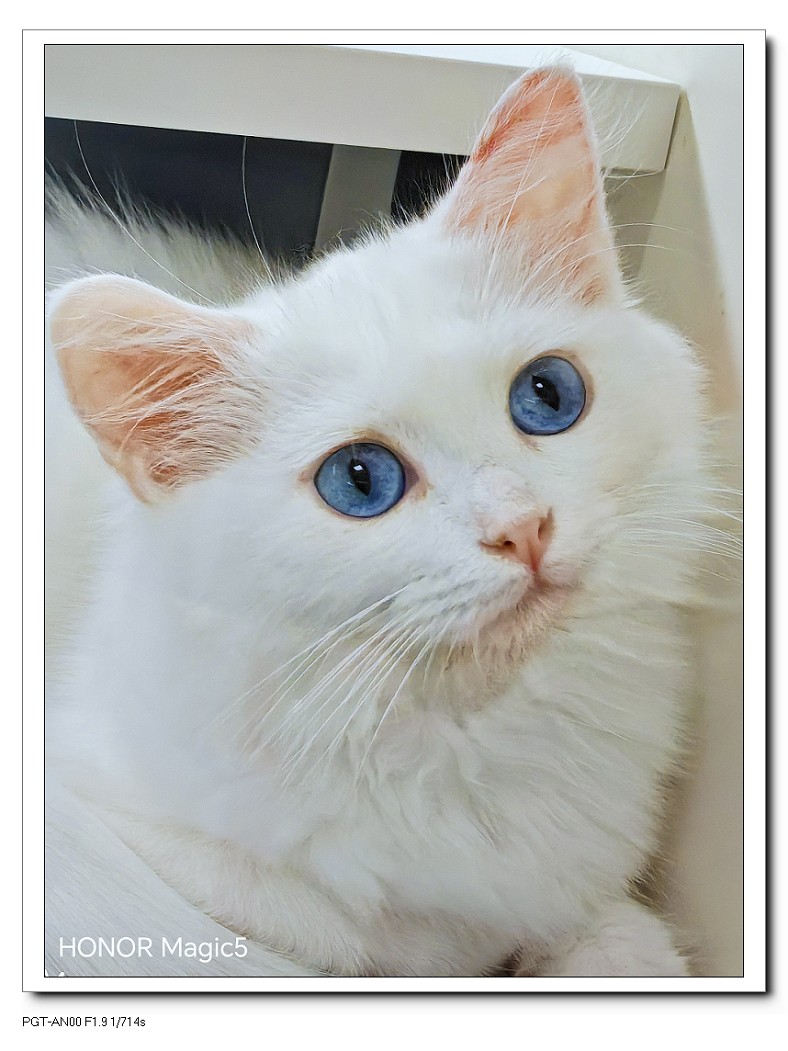 重阳节一贴《溜圈随拍抓拍风景，花草和妹子》祝大家节日快乐！