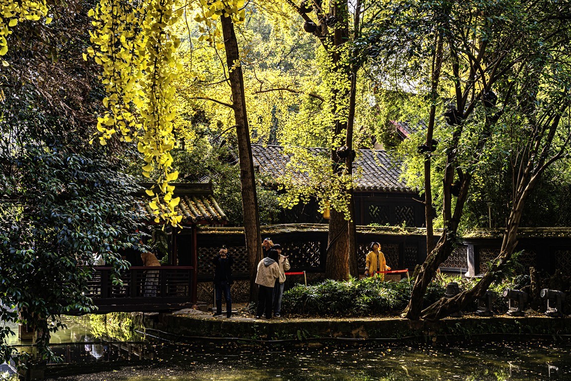 四川成都--崇州--罨画池秋色【7】