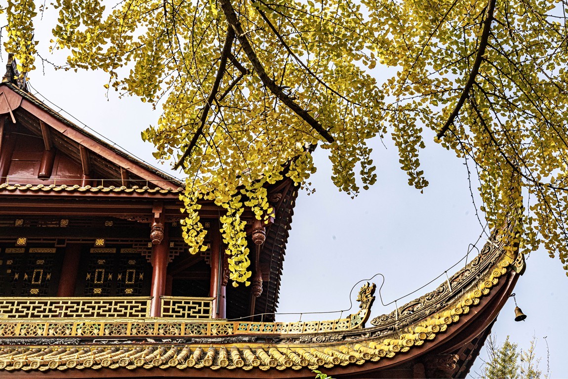 四川成都--崇州--罨画池秋色【7】