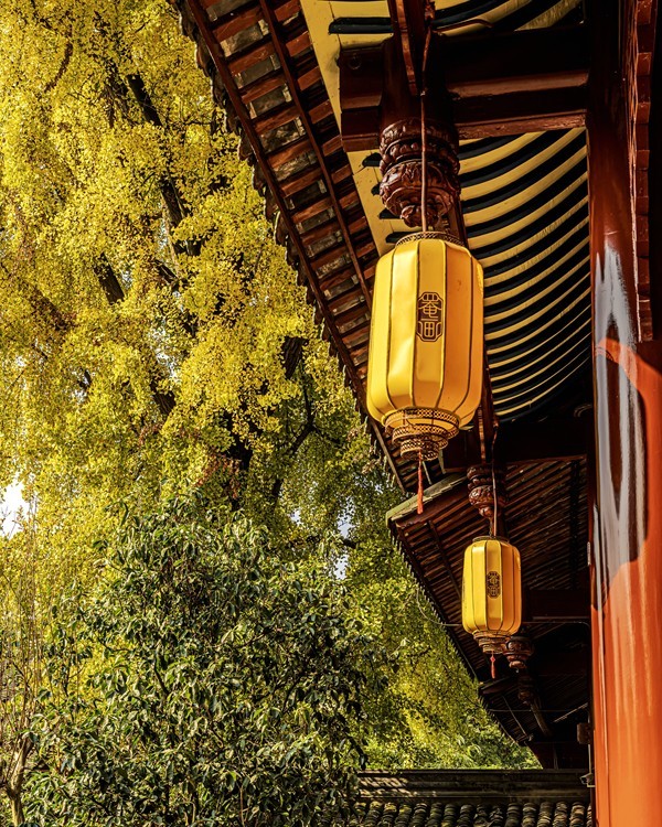 四川成都--崇州--罨画池秋色【7】