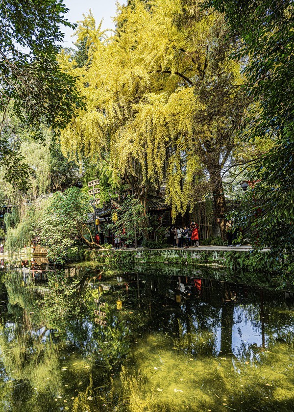 四川成都--崇州--罨画池秋色【7】