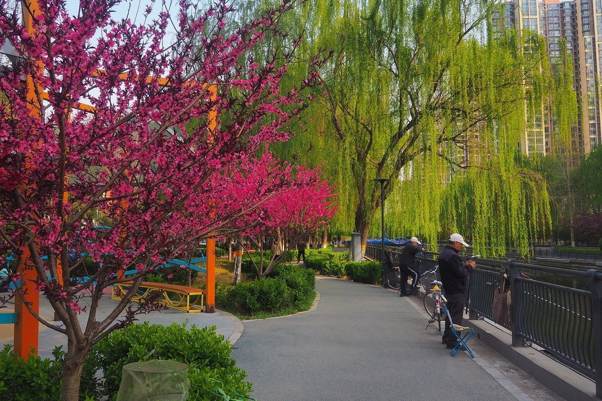 民心河畔春光美