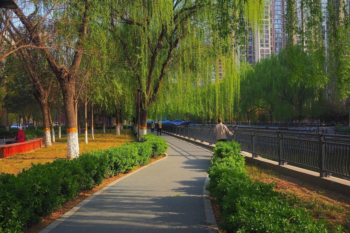 民心河畔春光美