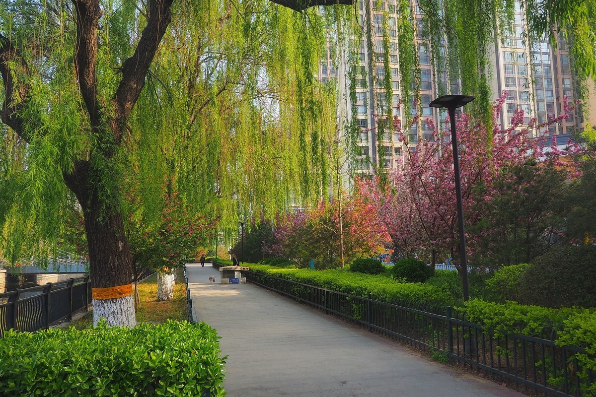 民心河畔春光美