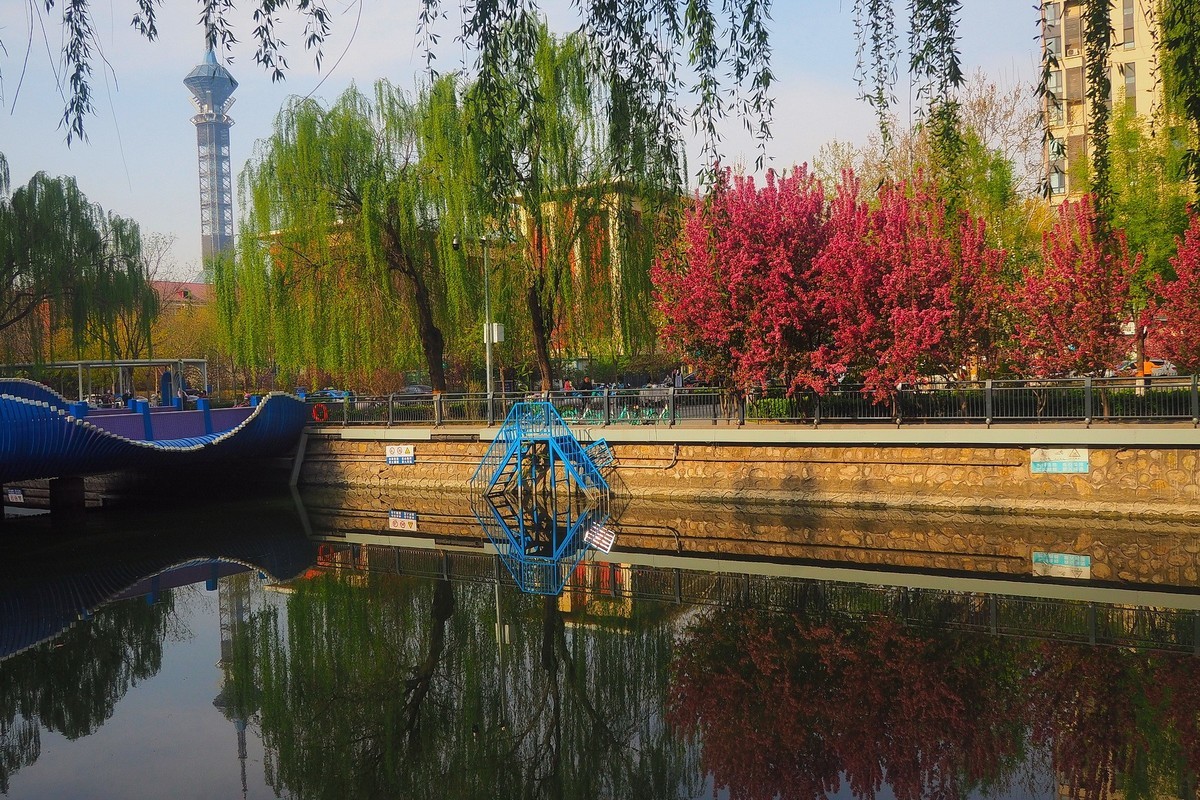 民心河畔春光美