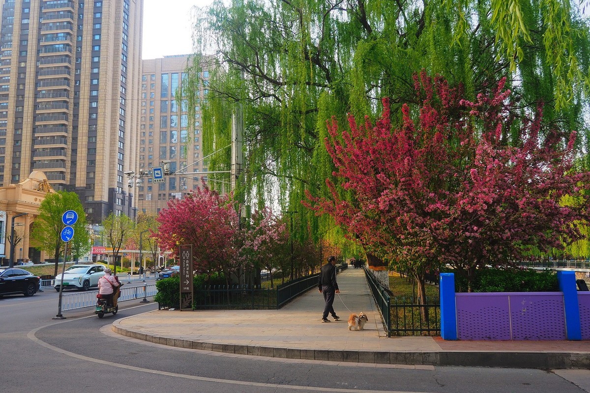 民心河畔春光美