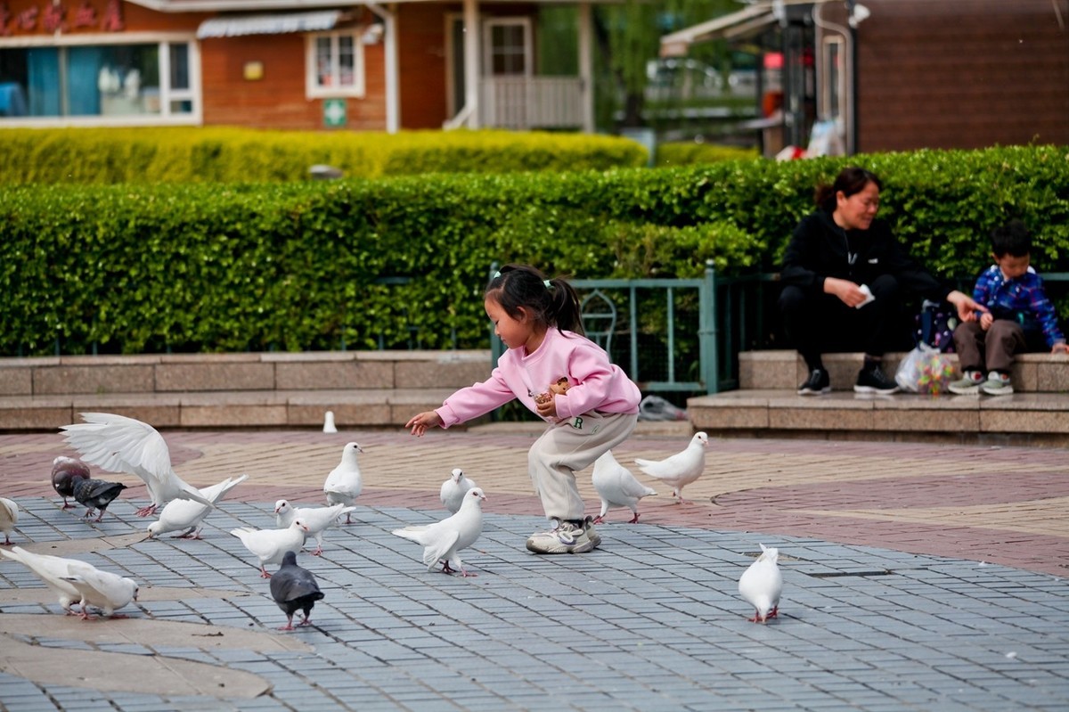 抓拍——春天里快乐的小朋友