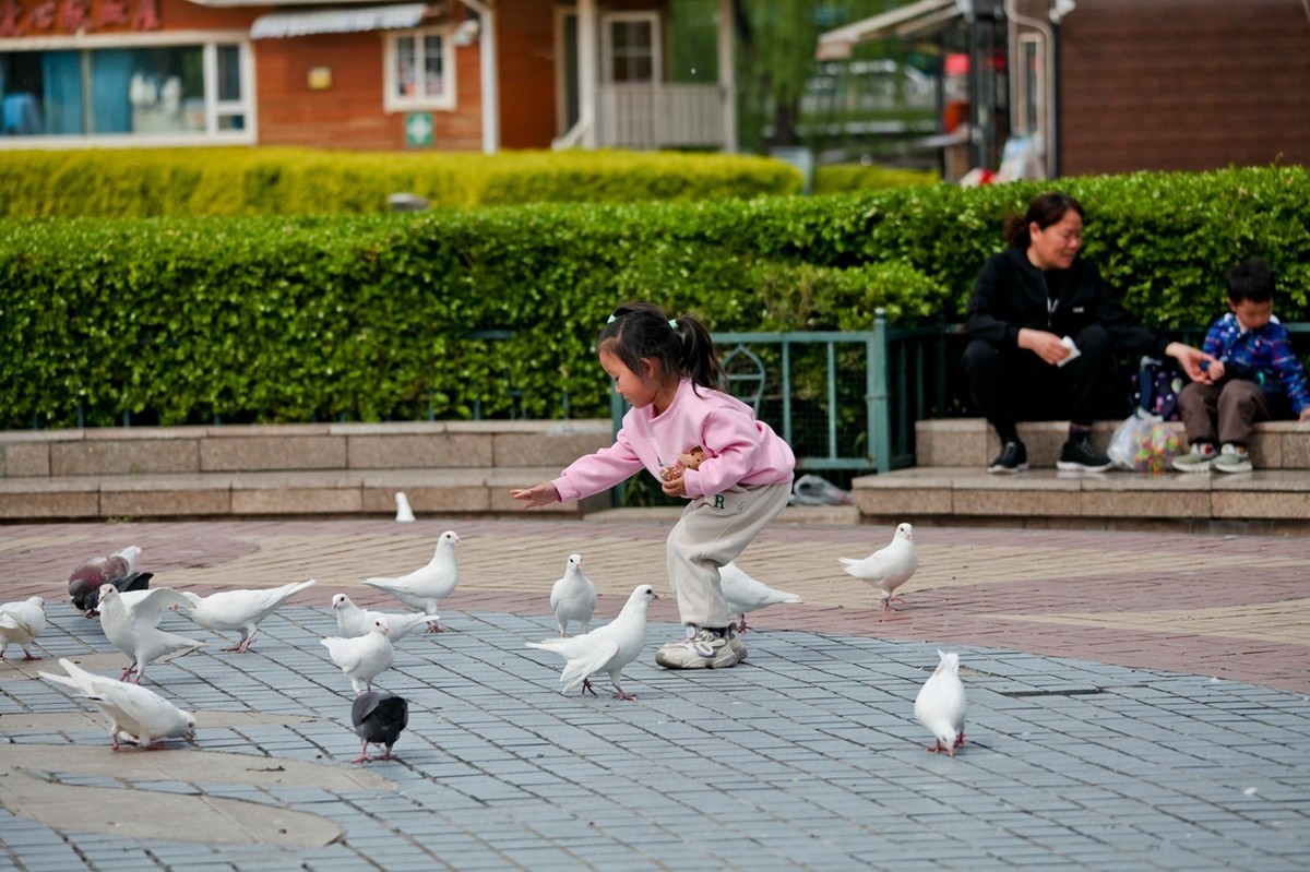 抓拍——春天里快乐的小朋友