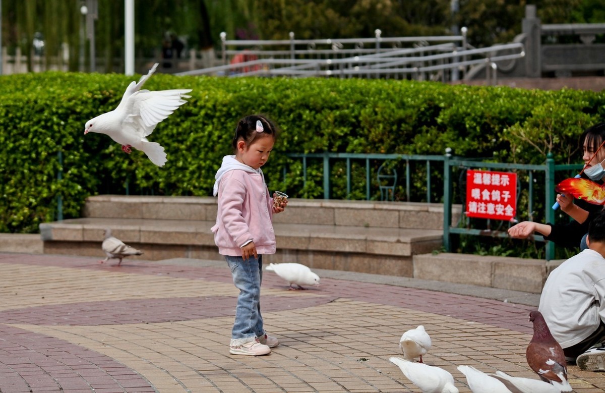 抓拍——春天里快乐的小朋友