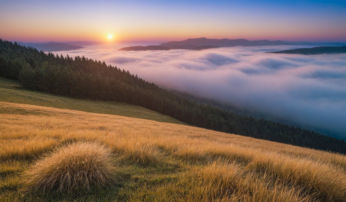 忘却尘世的喧嚣与烦恼