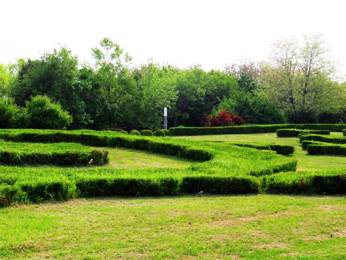 寻找心中的夏日美