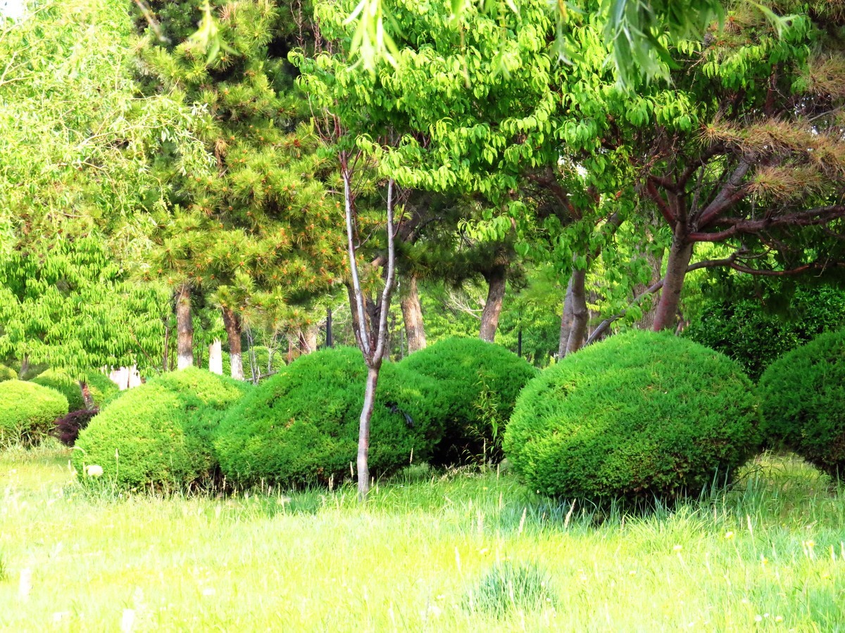 寻找心中的夏日美