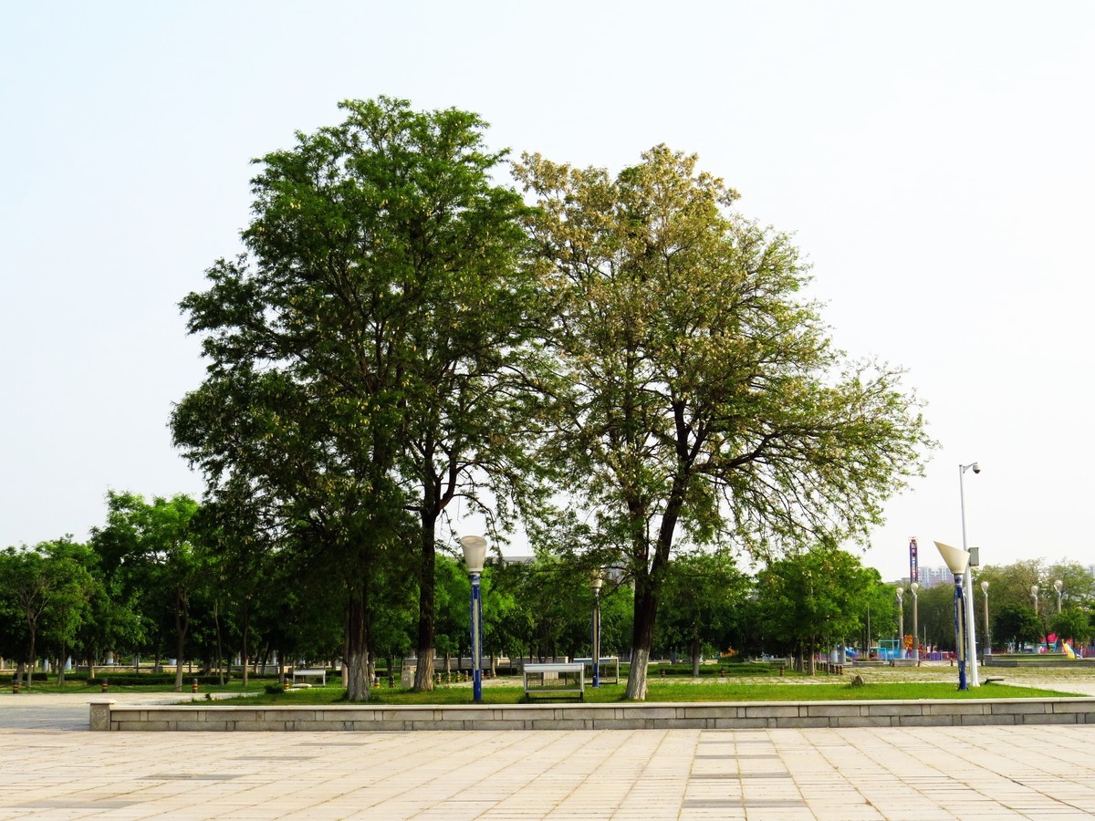 寻找心中的夏日美