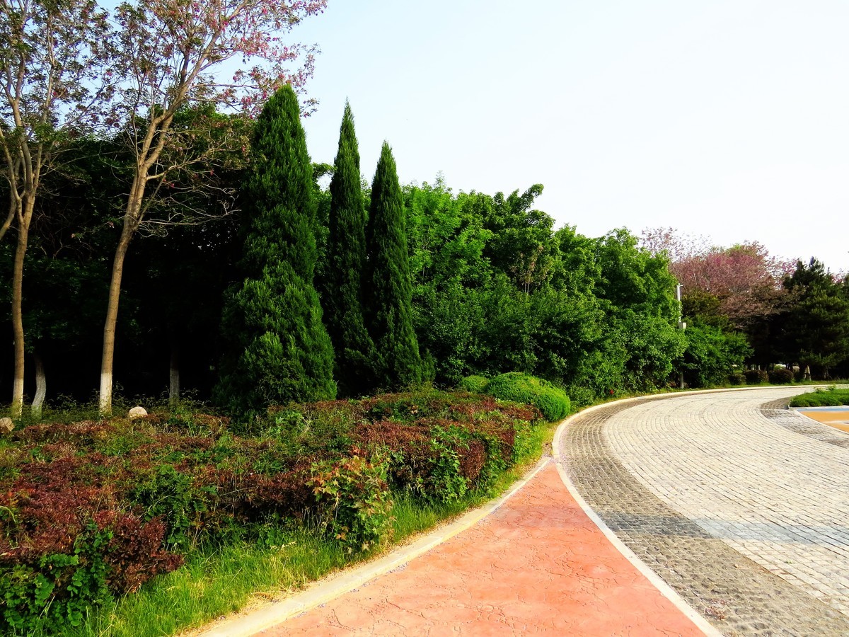 寻找心中的夏日美