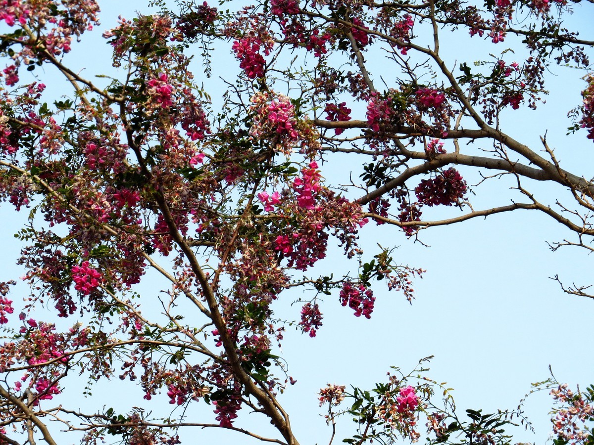 寻找心中的夏日美