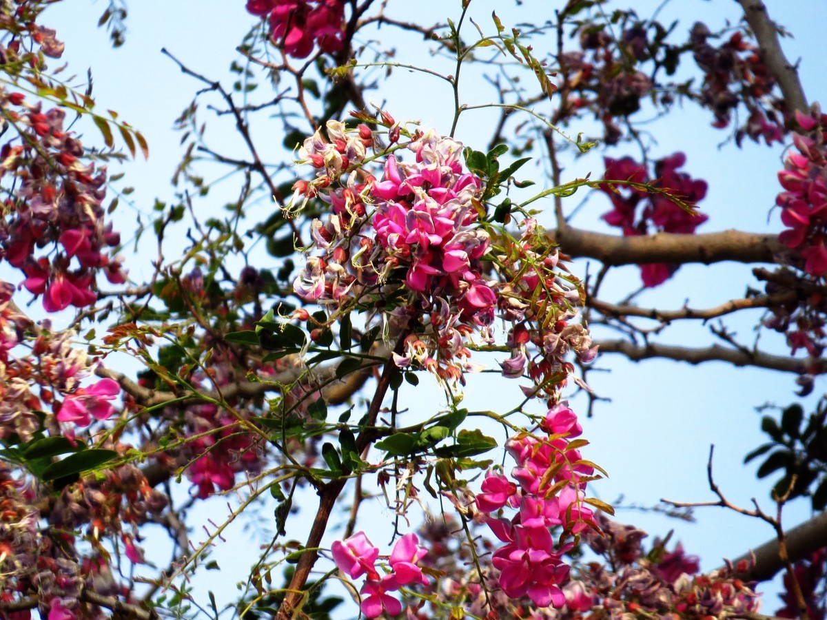 寻找心中的夏日美
