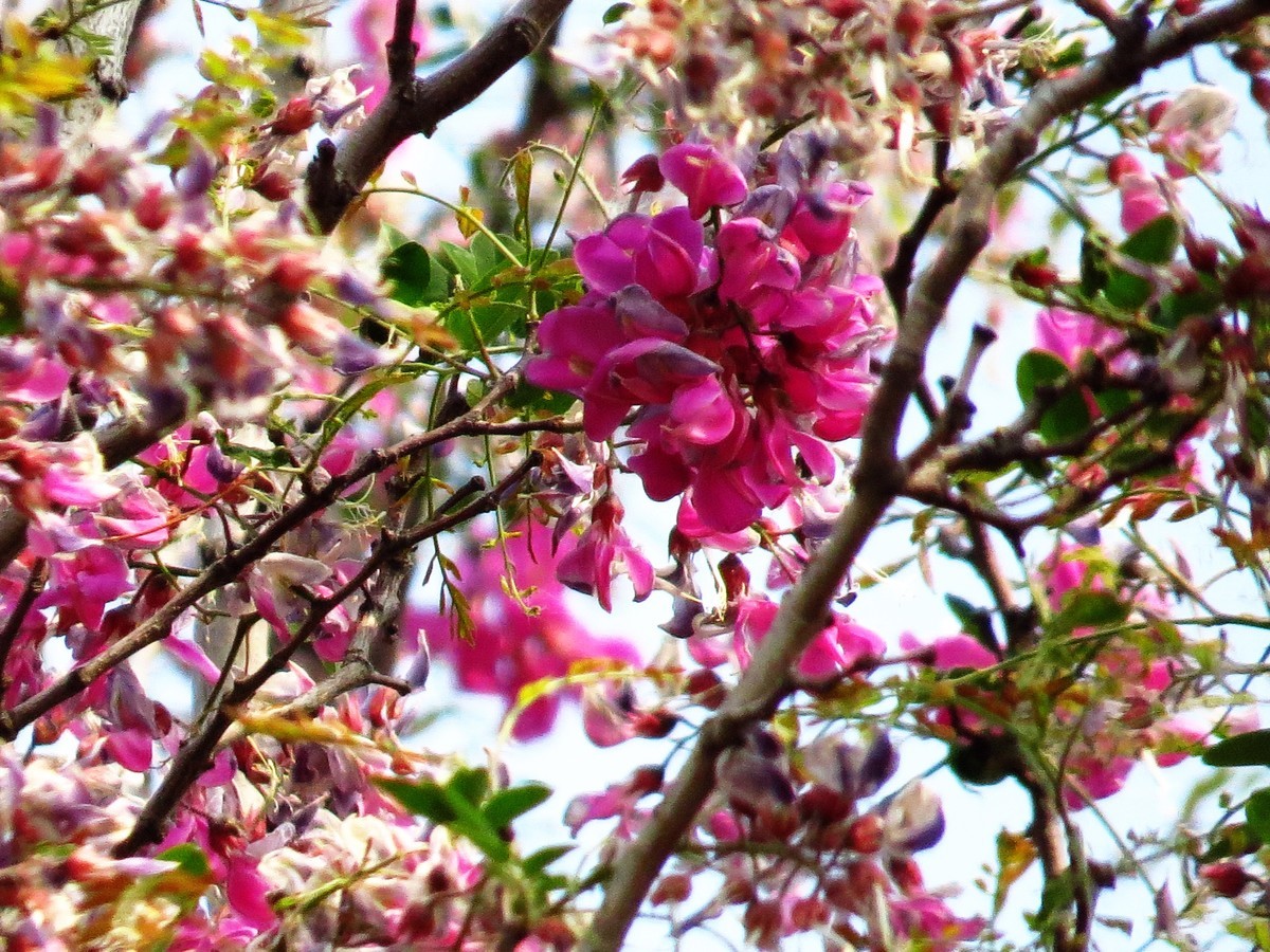 寻找心中的夏日美