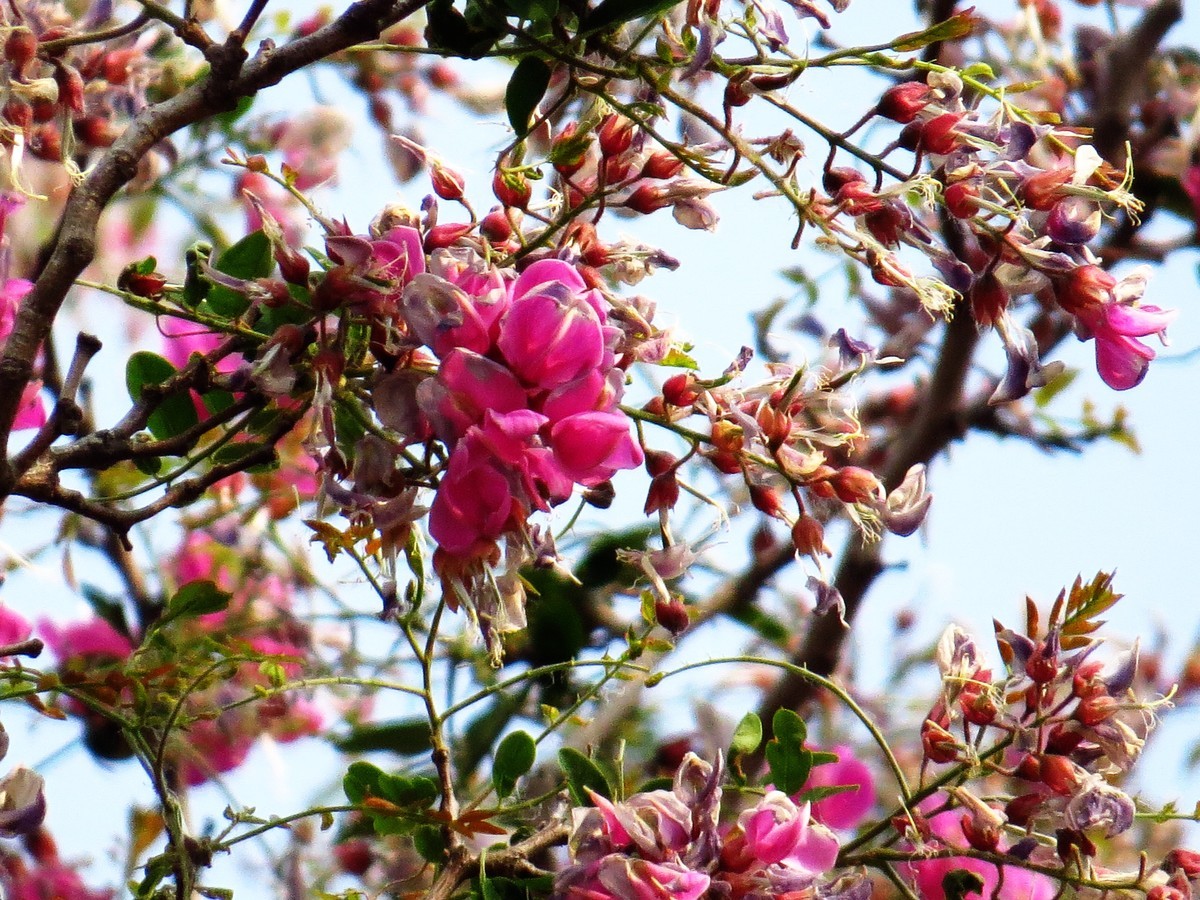 寻找心中的夏日美