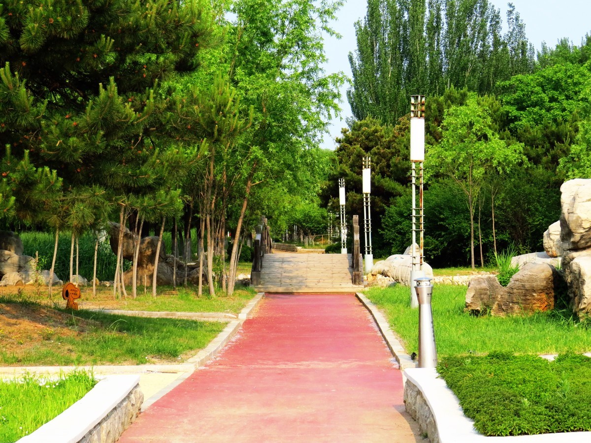 寻找心中的夏日美