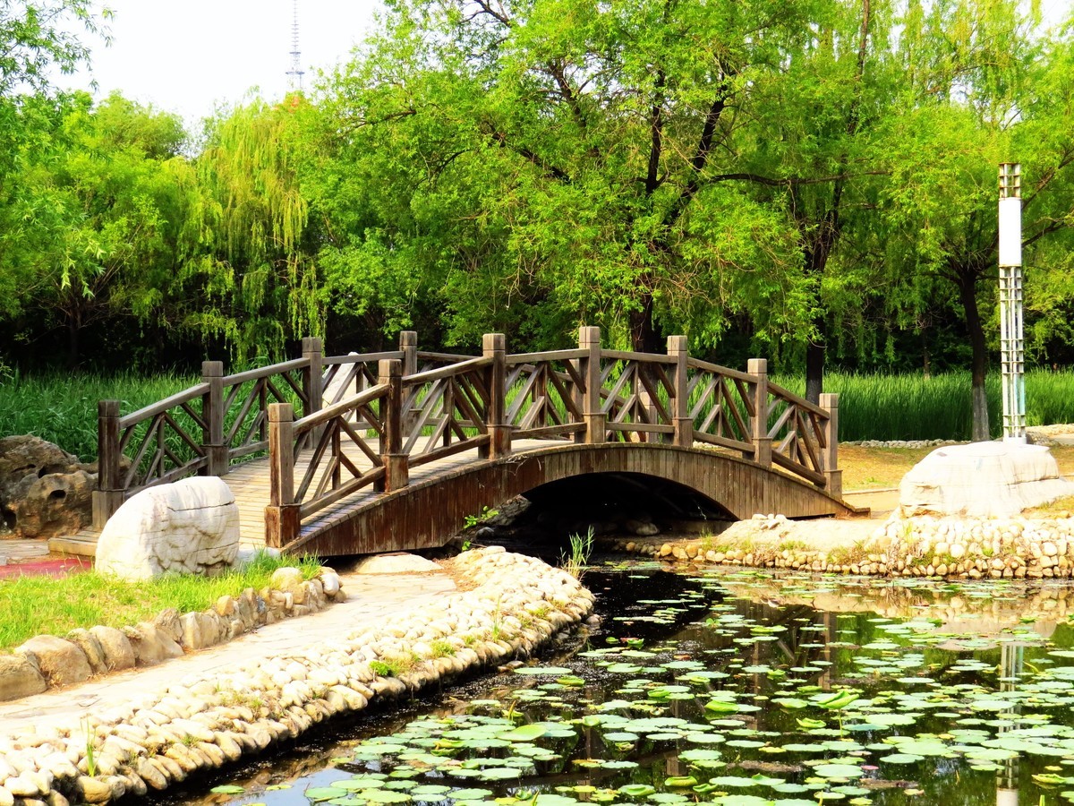 寻找心中的夏日美