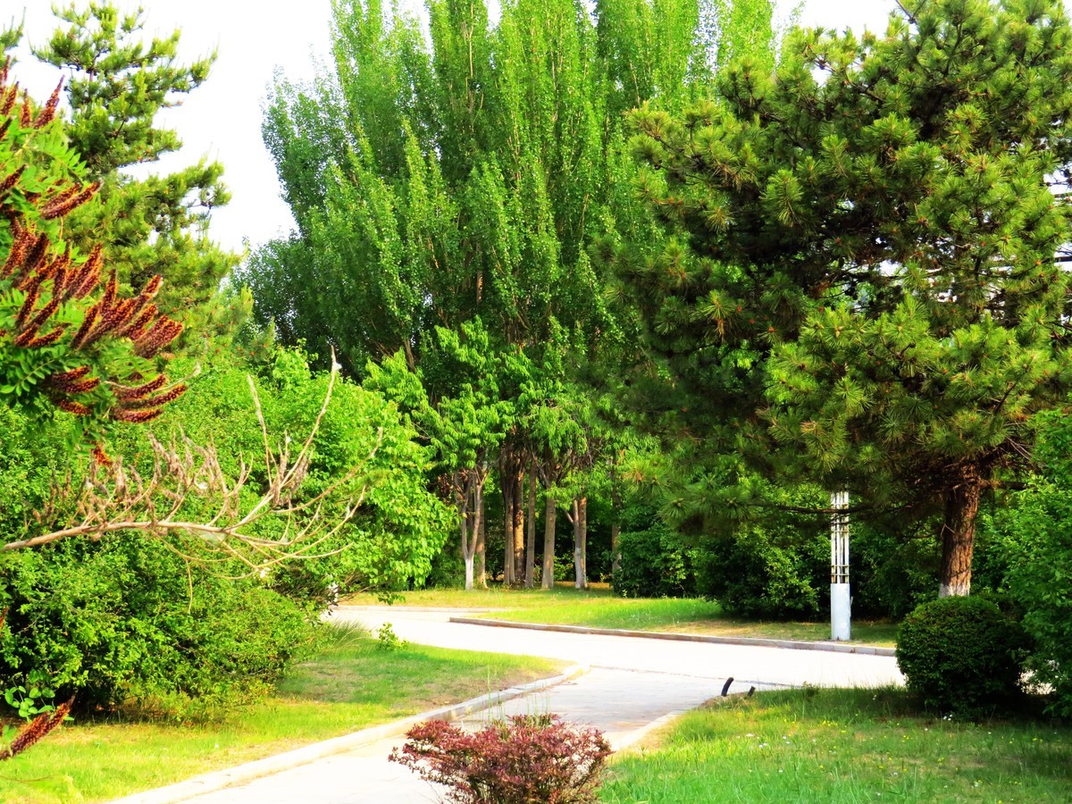 寻找心中的夏日美