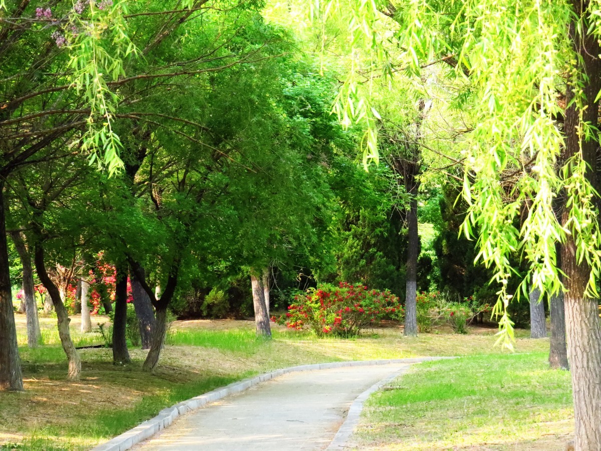 寻找心中的夏日美