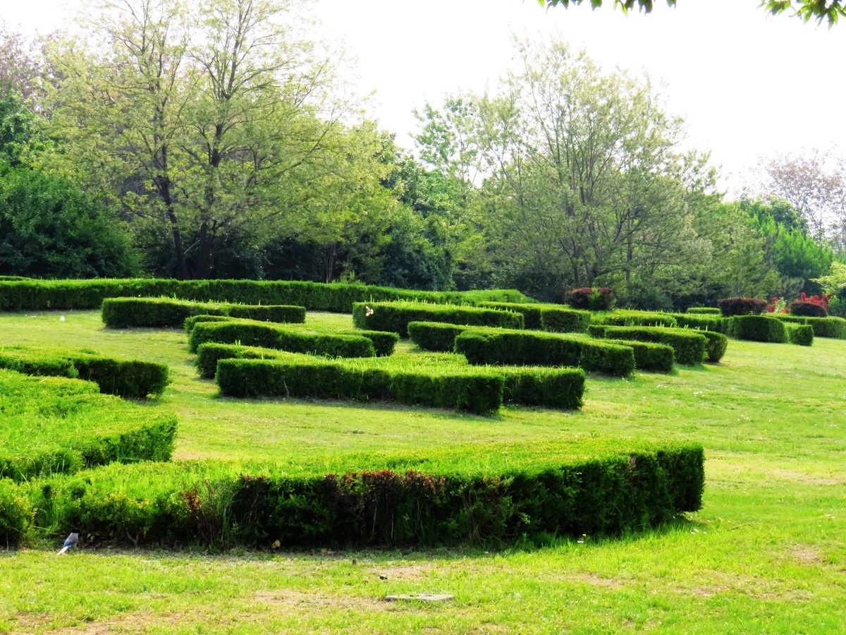 寻找心中的夏日美