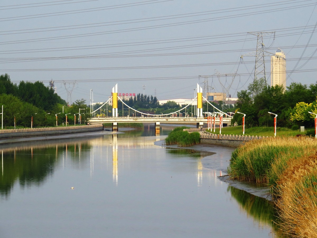 寻找心中的夏日美