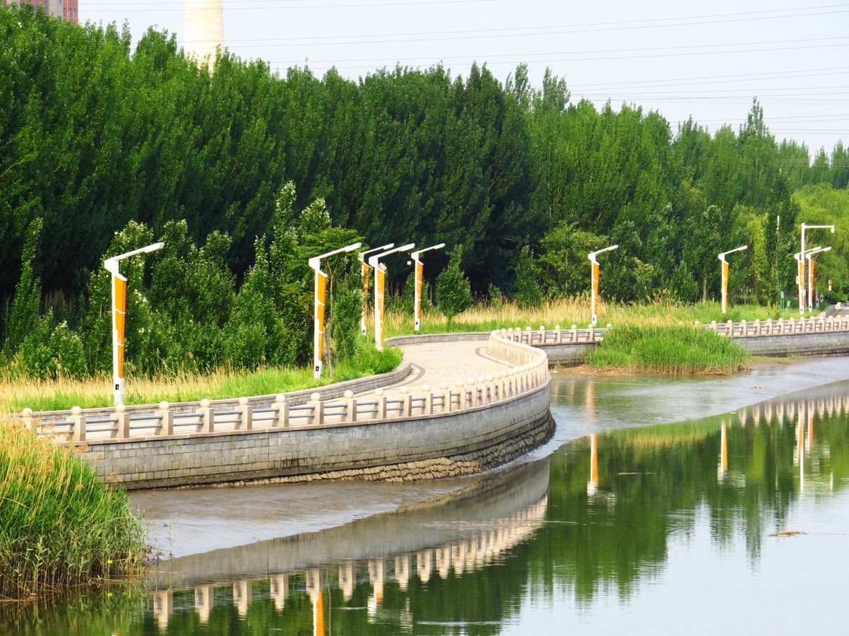 寻找心中的夏日美