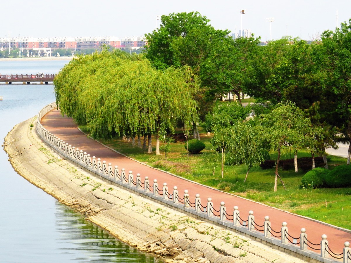 寻找心中的夏日美