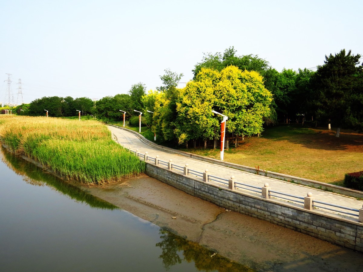 寻找心中的夏日美