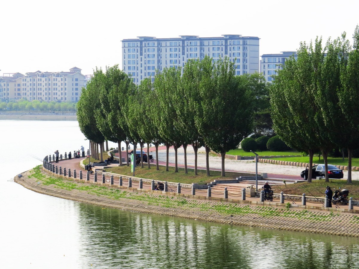 寻找心中的夏日美