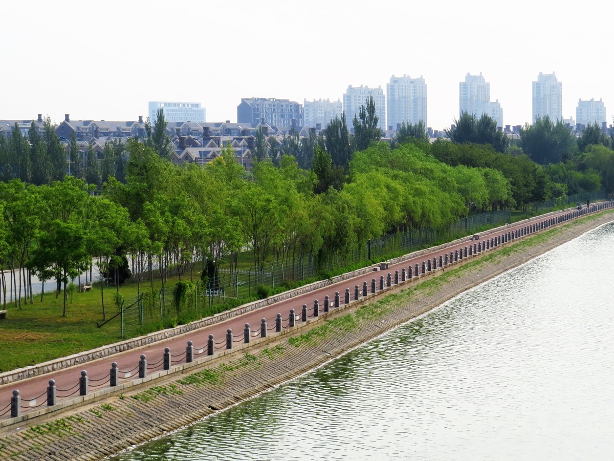 寻找心中的夏日美