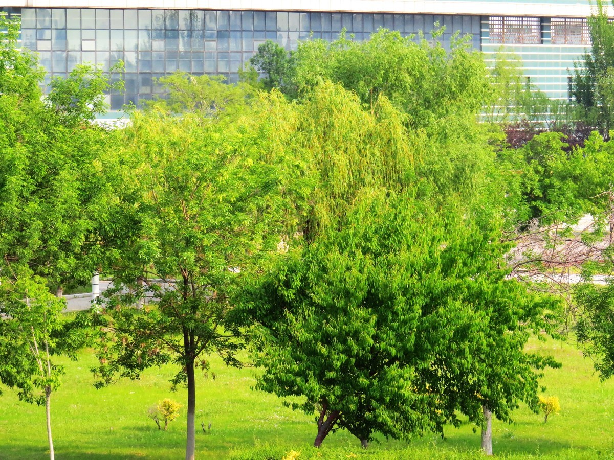 寻找心中的夏日美