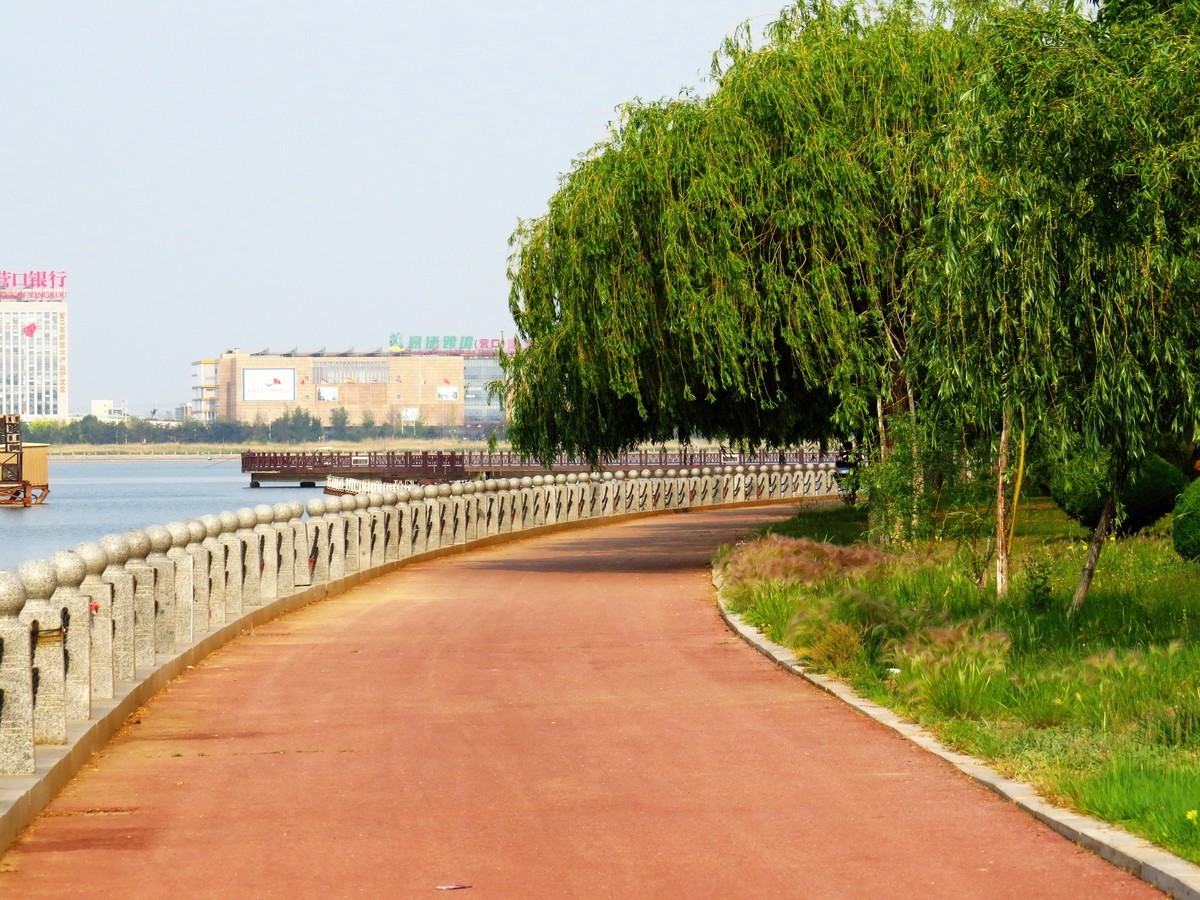 寻找心中的夏日美