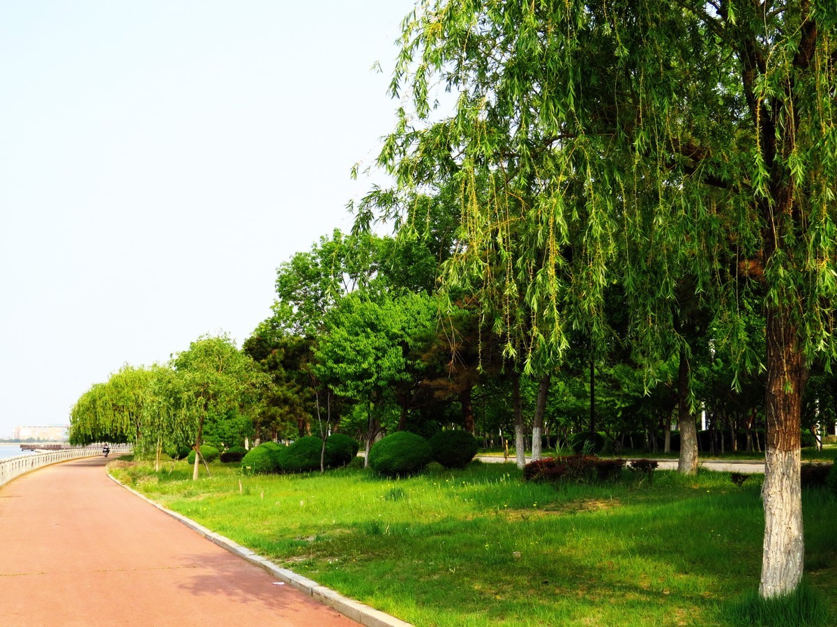 寻找心中的夏日美