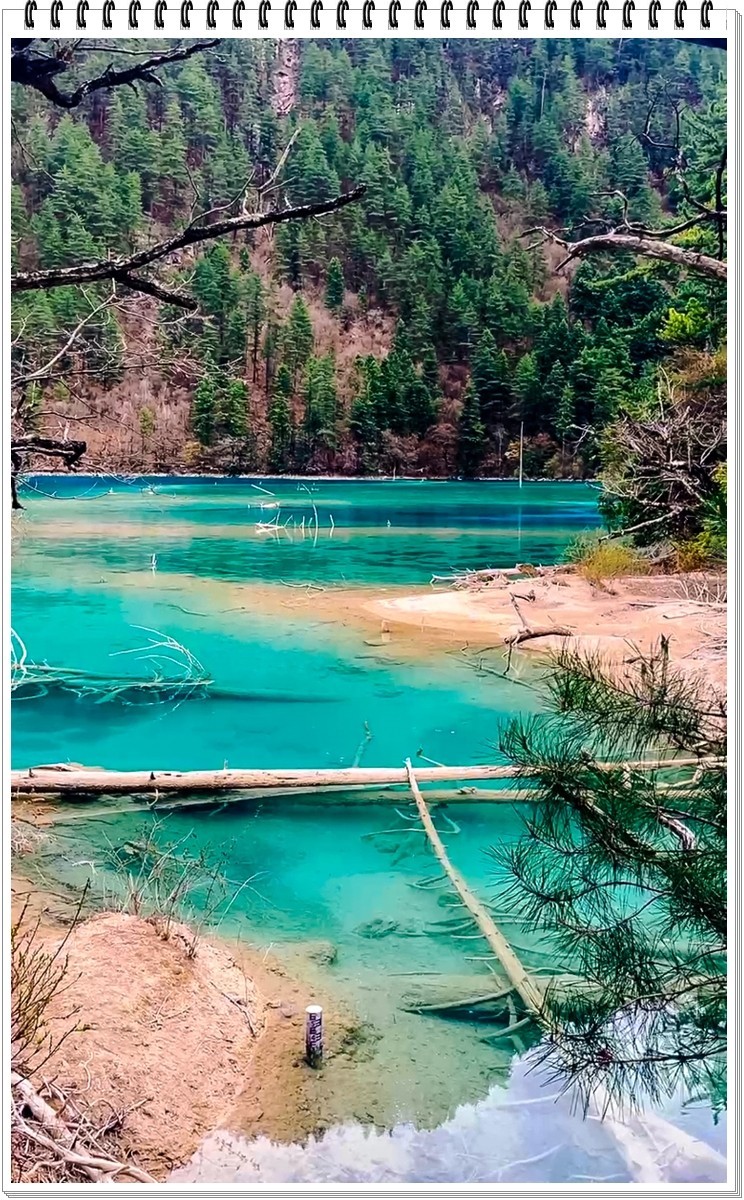 2025年- 九寨沟风光抓拍-0378